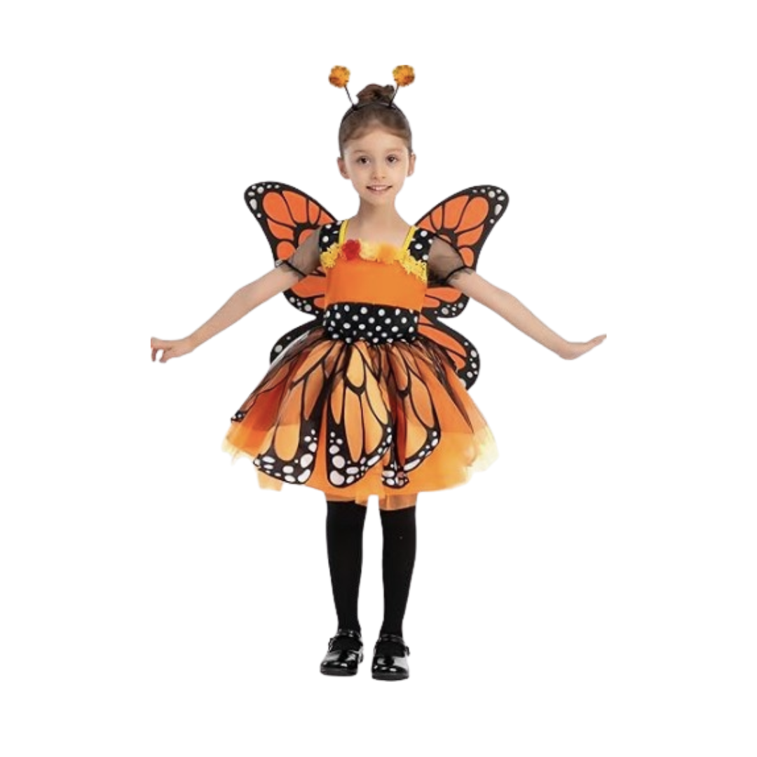 Disfraz de Mariposa