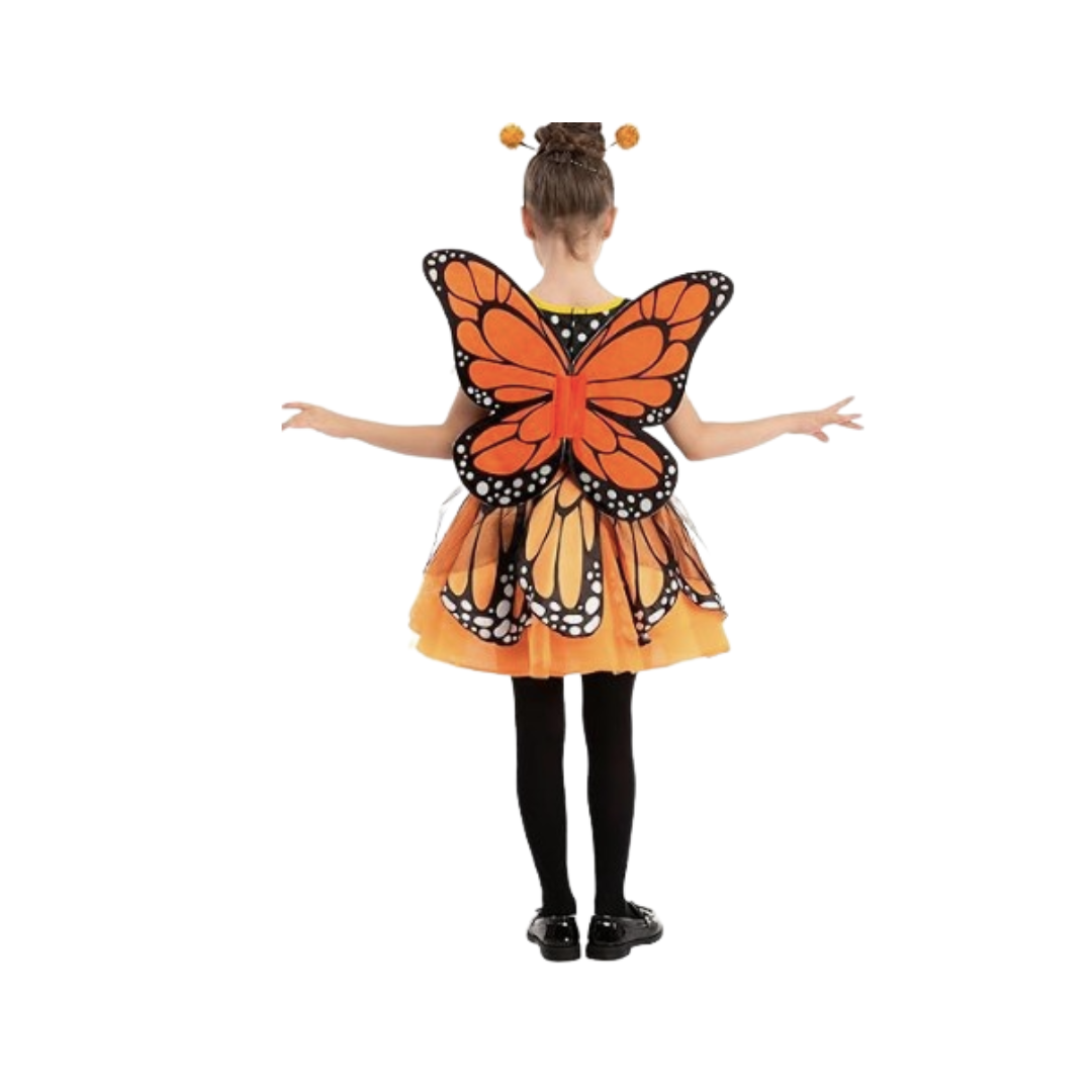 Disfraz de Mariposa